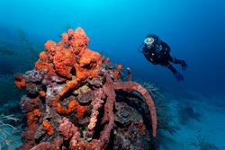 Caribbean - St Lucia scuba diving holiday. Anse Chastenet diving centre.